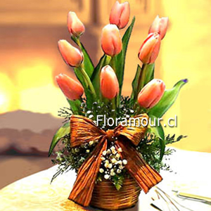 Fina presentación paralela de tulipanes cultivados...Simple y cautivador. Colorido puede variar según disponibilidad. Estas Flores están disponibles solo en Santiago de Chile