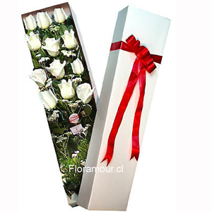 Fina caja de rosas importadas de primera selección larga duración(Incluye follajes y paniculta blanca de complemento extra).Consulte al Tel. 222341793 por factibilidad provincia y el extranjero.