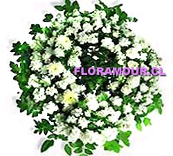 Corona de flores para funerales confeccionada con flores mixtas de color blanco.