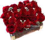 Tierno arreglo de rosas compacto montado a nivel en una caja rstica de lea. Sper Durable !!
(Disp.Slo Santiago de Chile)