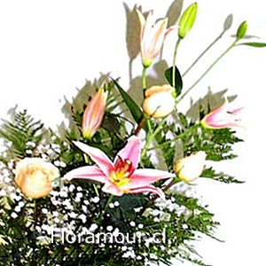 Ramo Liliums multiples seleccionados y Rosas color pastel(Flores atadas)