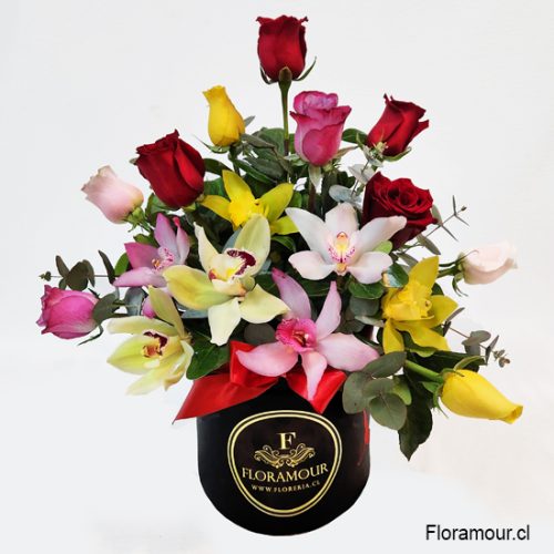  
Supremo Caja tambor de orquídeas y rosas
Arreglo de lujo con orquideas variadas y rosas multicolor