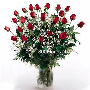 (AVAILABLE ONLY IN:Beijing, Shanghai, Guangzhou, Shenzhen, Nan Ning, Cheng Du) 2 dozen roses, enhanced by baby-breath, make a grand entrance in this beautiful arrangement in a glass vase. Sure to impress for any occasion.