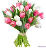 Fino ramo de 20 tulipanes atados y envueltos en papel decorativo
Color de tulipanes puede variar según disponibilidad e importación
Sólo Santiago.