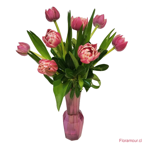 Florero estilizado de vidrio con tulipanes importados
Colorido puede variar según disponibilidad
Sólo Santiago.