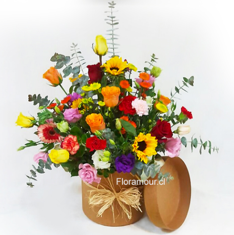 Gran caja tambor ecológica, color natural con flores mixtas coloridas de estación. Disponible solo en Santiago de Chile. 60 cms. de altura aprox. (Flores podrí­an variar de acuerdo a disponibilidad de temporada)
